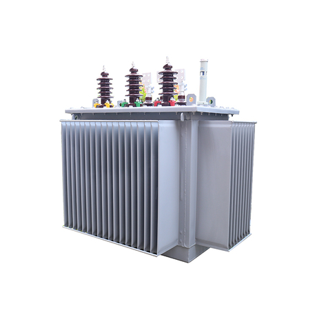 Trasformatore di olio impermeabile a media tensione 250kva 300kva